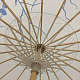photo-2976768