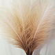 photo-2982916