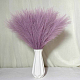 photo-2982876