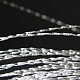 photo-2980169